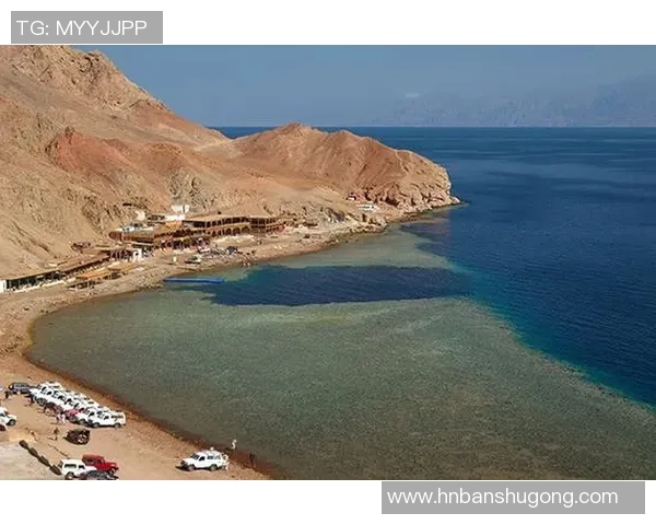 武汉极限运动队如何引领快攻革新潮流与未来发展探讨