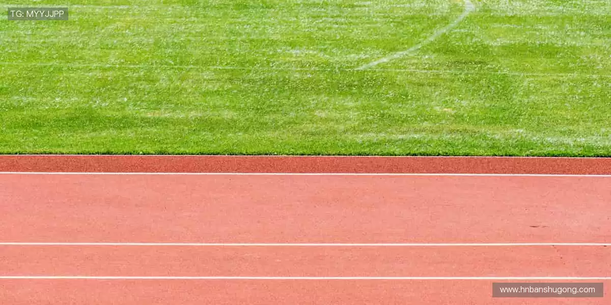 高清画质 + 专业解说，打造沉浸式观赛体验！🎧